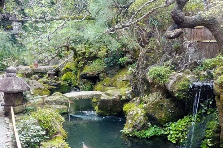 Two-Day Kyoto Highlights: Private Guided Tour of Temples, Bamboo Grove and Fushimi Inari photo 4