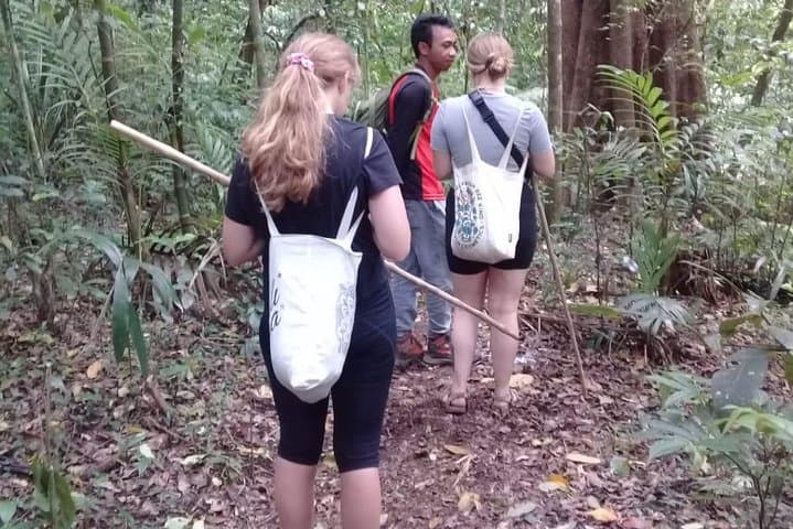 Tamblingan Waterfall & Twin Lake Tour — Dugout Canoe Crossing and Rainforest Trek