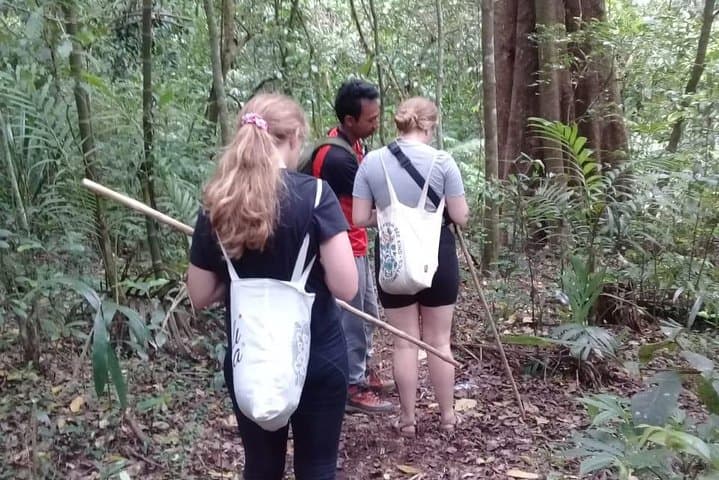 Tamblingan Waterfall & Twin Lake Tour — Dugout Canoe Crossing and Rainforest Trek photo 2