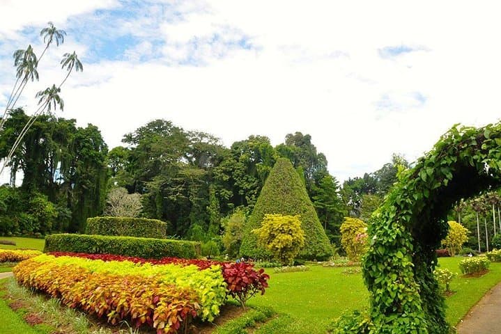 Kandy City Tour: Temple, Lake & Udawattakele Forest Experience photo 3