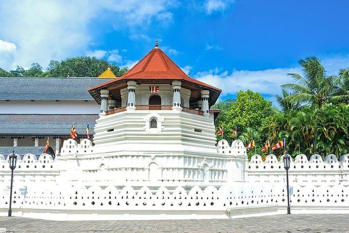 Kandy City Tour: Temple, Lake & Udawattakele Forest Experience