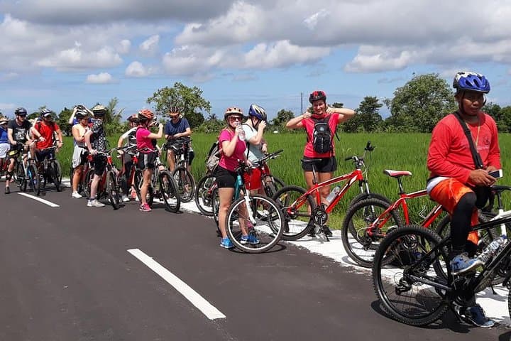 Lombok Easy Biking Tour: Suranadi Rice Fields, Springs & Lingsar Market