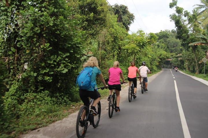 Lombok Easy Biking Tour: Suranadi Rice Fields, Springs & Lingsar Market photo 2