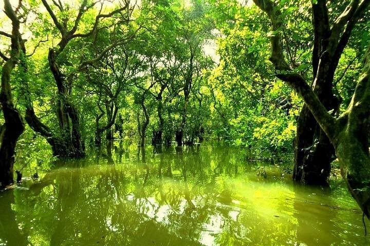 Srimangal 3-Day Tea Gardens, Baikka Beel & Ratargul Swamp Forest Tour photo 2