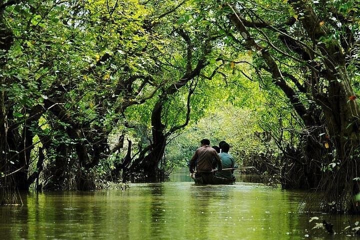 Srimangal 3-Day Tea Gardens, Baikka Beel & Ratargul Swamp Forest Tour photo 3