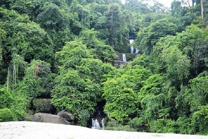 Srimangal 3-Day Tea Gardens, Baikka Beel & Ratargul Swamp Forest Tour photo 4