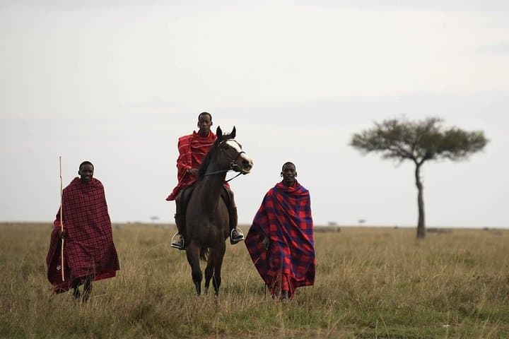 Black Panther Photography Safari in Laikipia — Night Drives & Luxury Camp