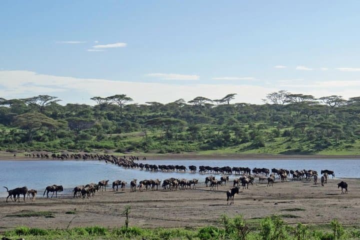 Northern Tanzania Luxury: 6-Day North Circuit Safari in Serengeti, Ngorongoro & Lake Natron photo 3
