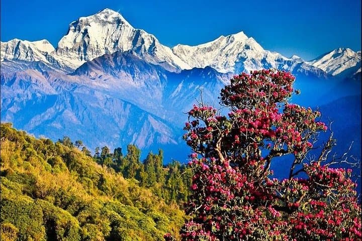 Australian Camp Pokhara: 2-Day Ridge Hike to Himalayan Views photo 2
