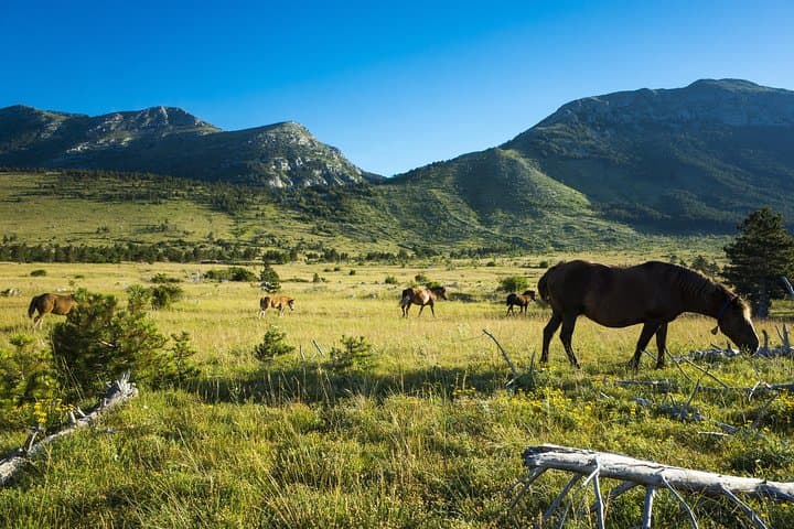 Exploring Paklenica National Park: A Day in Croatia's Velebit Canyons photo 2
