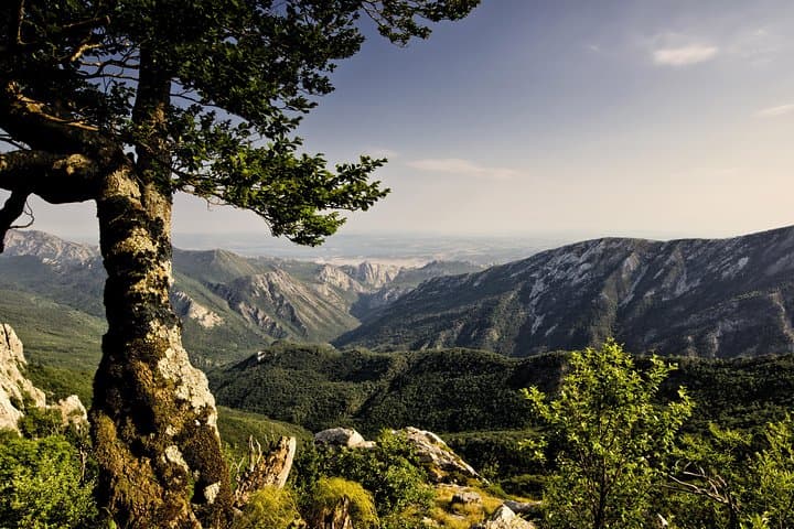 Exploring Paklenica National Park: A Day in Croatia's Velebit Canyons