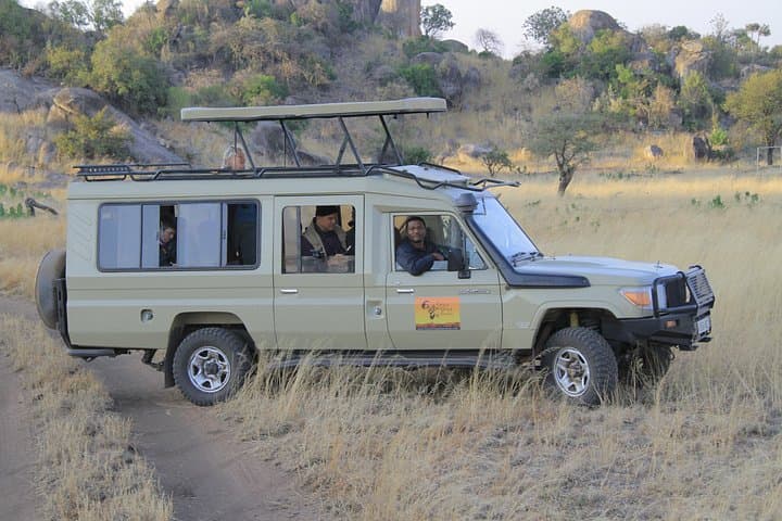 2-Day Tarangire and Ngorongoro Crater Safari: Big Game Drives from Arusha photo 1