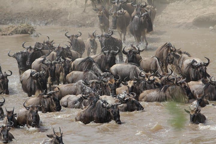 3-Day Camping Safari: Tarangire, Lake Manyara & Ngorongoro Crater photo 6