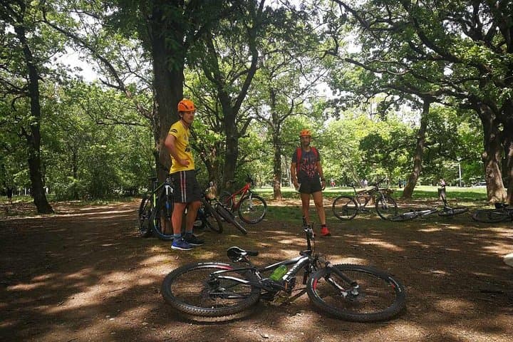 Belgrade Mountain Bike Tour: Košutnjak & Ada Forest Trails photo 2