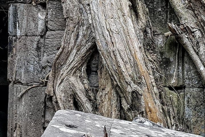 Full-Day Angkor Bike Adventure: Explore Angkor Wat, Bayon & Ta Prohm by Bicycle photo 2