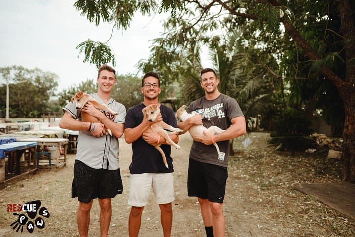 Volunteer with Rescue P.A.W.S.: Hua Hin Dog Day Visit & Beach Walk photo 6