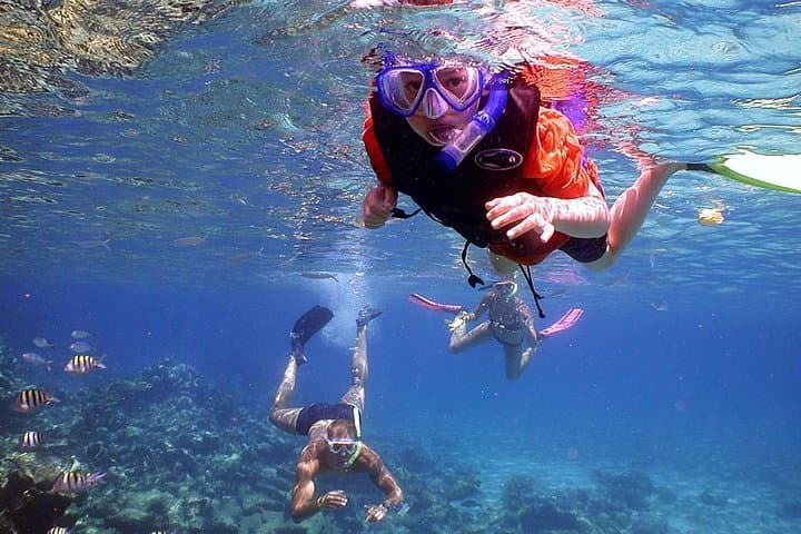 Muscat Dolphin Watching & Snorkeling: Boat Tour to Turtles, Corals & Spinner Dolphins photo 3