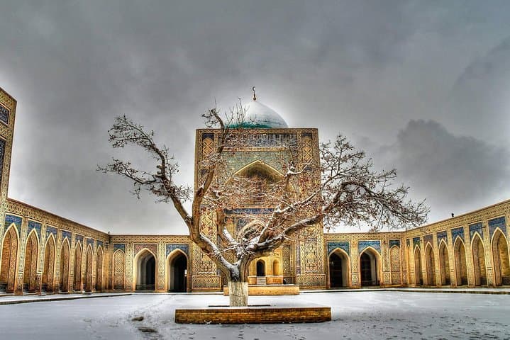 Bukhara in a Day: High-Speed Train Cultural Tour from Tashkent photo 4