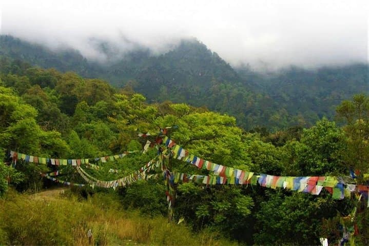 Jeep Safari to Jamacho: Nagarjun Forest Wildlife & Mountain Views from Kathmandu photo 6