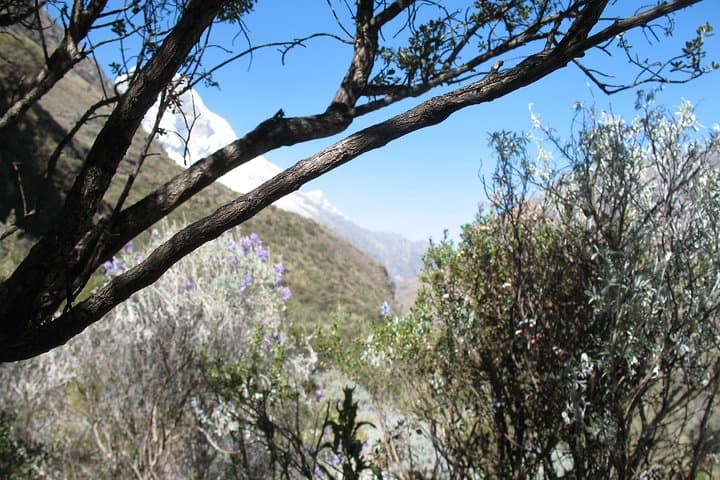 Laguna 69 & Llanganuco: Two-Day Camping Trek in Huascarán National Park