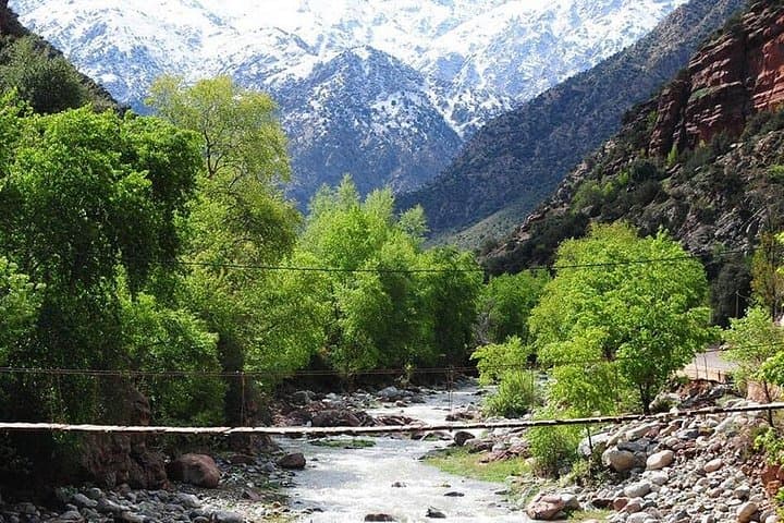 High Atlas Mountains and 4 Valleys Day Trip from Marrakech photo 5