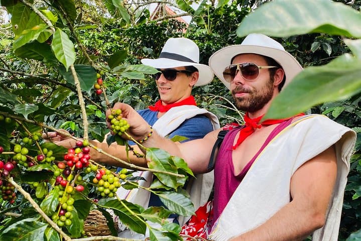 Medellín Coffee Farm Immersion: Half-Day Tour with Private Transfer photo 2