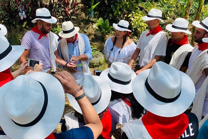 Medellín Coffee Farm Immersion: Half-Day Tour with Private Transfer photo 3