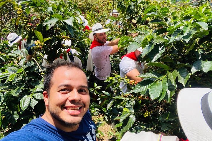 Medellín Coffee Farm Immersion: Half-Day Tour with Private Transfer photo 6