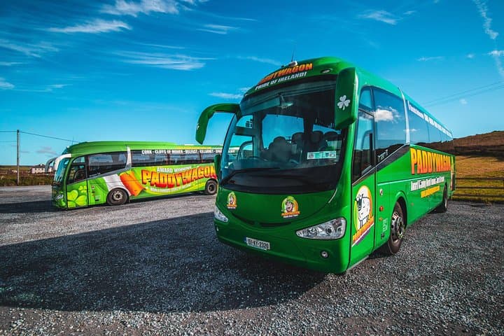 Cliffs of Moher Day Tour from Limerick — Wild Atlantic Way Views & Burren Drive photo 4