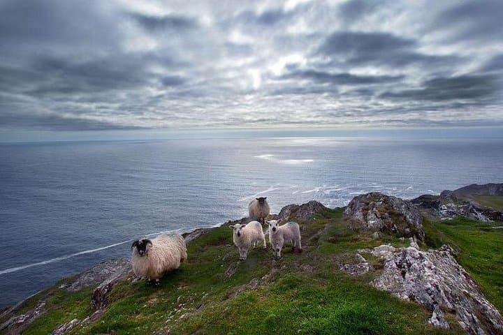 Private Tour to Gougane Barra & Glengarriff — Garnish Island, Caha Mountains and Killarney Day Trip photo 3