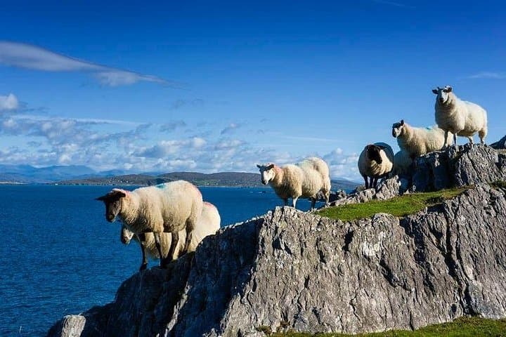 Private Tour to Gougane Barra & Glengarriff — Garnish Island, Caha Mountains and Killarney Day Trip photo 4