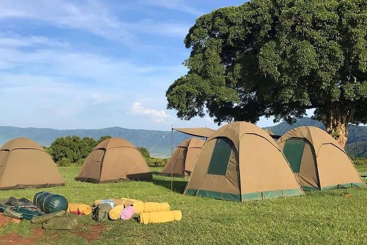 4-Day Tarangire, Serengeti & Ngorongoro Safari from Arusha photo 5
