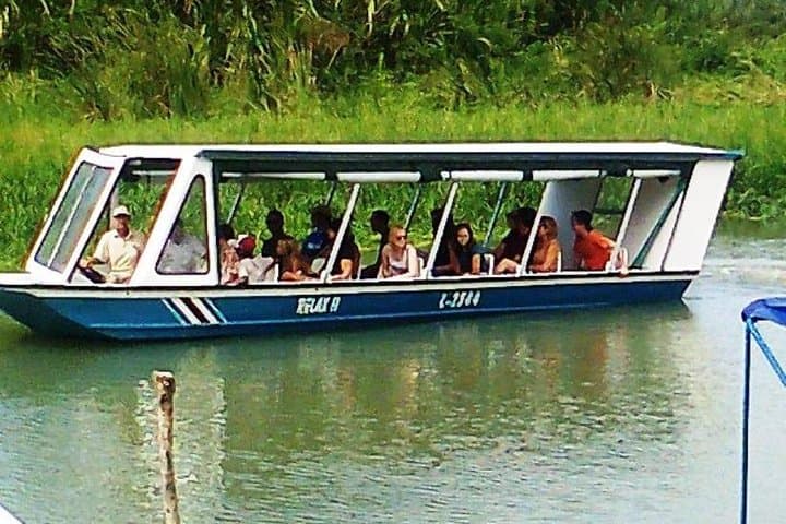 Cahuita National Park: Caribbean Reef Walks, White-Sand Beaches & Rainforest Wildlife photo 2