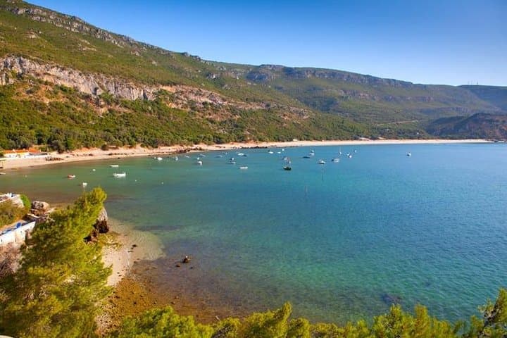 Arrábida Full-Day Tour from Lisbon: Wine Tasting, Beaches & Castles