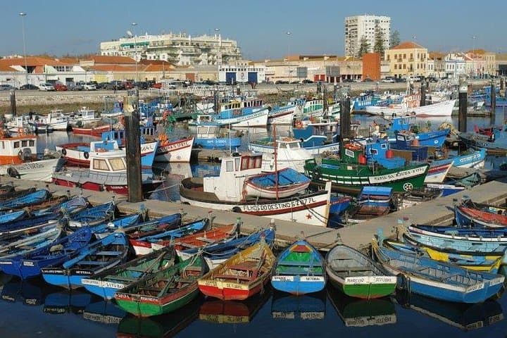 Arrábida Full-Day Tour from Lisbon: Wine Tasting, Beaches & Castles photo 2