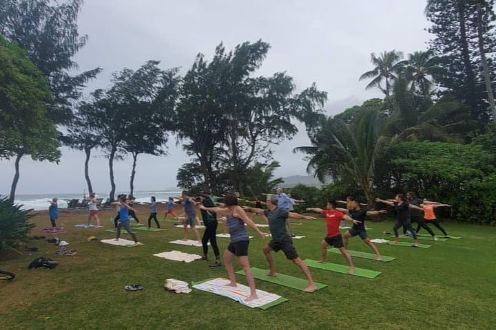 Oceanfront Morning Yoga on Kauai's East Shore photo 4