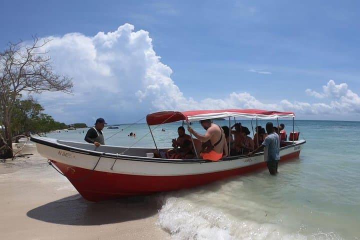 Playa Tranquila: Day Trip to Playa Blanca on Barú photo 5