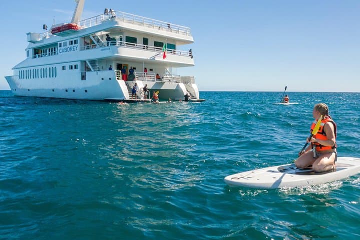 Cabo San Lucas Snorkeling at Chileno Bay: 3-Hour Reef Cruise photo 3
