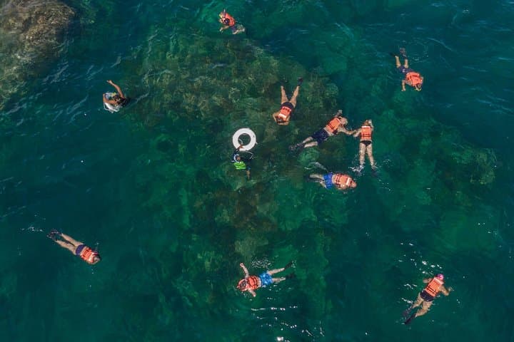 Cabo San Lucas Snorkeling at Chileno Bay: 3-Hour Reef Cruise photo 4