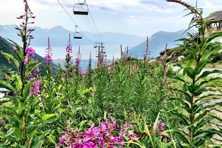 Seward to Anchorage: Alaska Crafted Scenic Transfer with Tram, Brewery & Distillery Tastings photo 2