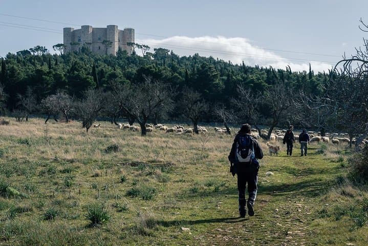 Castel del Monte Alta Murgia Hiking Excursion from Bari