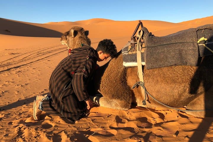 Three-Day Sahara Desert Experience from Marrakech to Merzouga photo 5