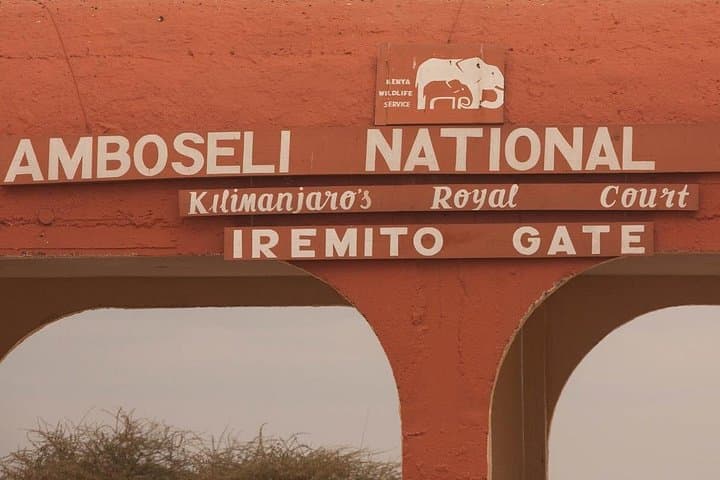 Amboseli Day Trip from Nairobi — Kilimanjaro Views & Elephant Safari photo 6