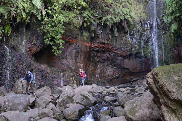 Rabaçal Hiking Tour: Levada das 25 Fontes Walk Through Madeira's Laurissilva photo 3