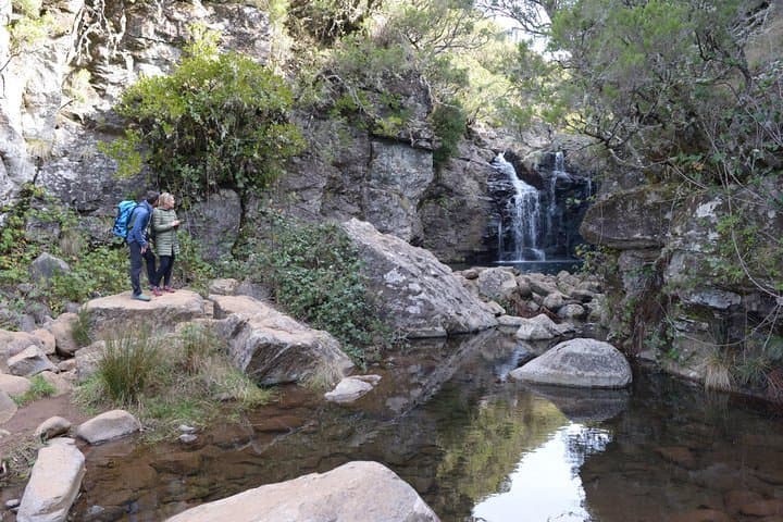 Rabaçal Hiking Tour: Levada das 25 Fontes Walk Through Madeira's Laurissilva photo 5