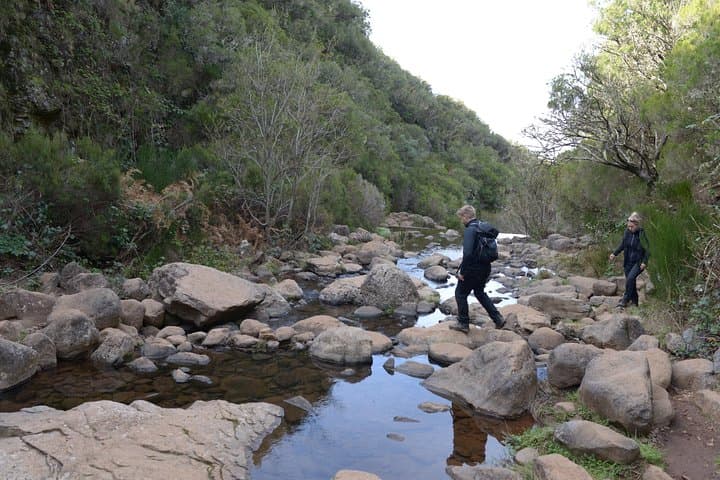 Rabaçal Hiking Tour: Levada das 25 Fontes Walk Through Madeira's Laurissilva photo 6