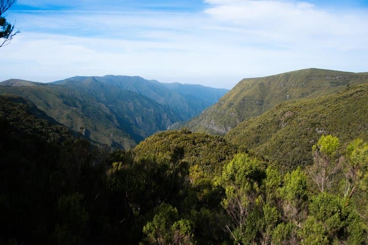 Rabaçal Hiking Tour: Levada das 25 Fontes Walk Through Madeira's Laurissilva