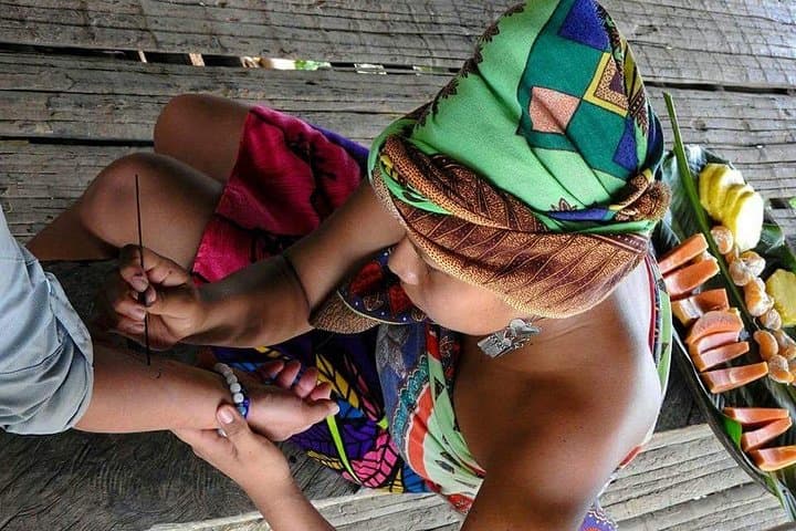 Embera Village Day Trip on the Chagres River: Canoes, Waterfall Swim & Cultural Immersion photo 4