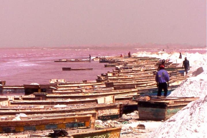Visit Lac Rose (Lake Retba) & Noflaye Turtle Park: Sand Dunes, Salt Pans and Conservation photo 4