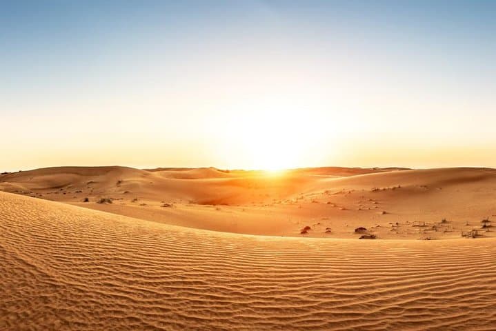 Visit Lac Rose (Lake Retba) & Noflaye Turtle Park: Sand Dunes, Salt Pans and Conservation photo 3
